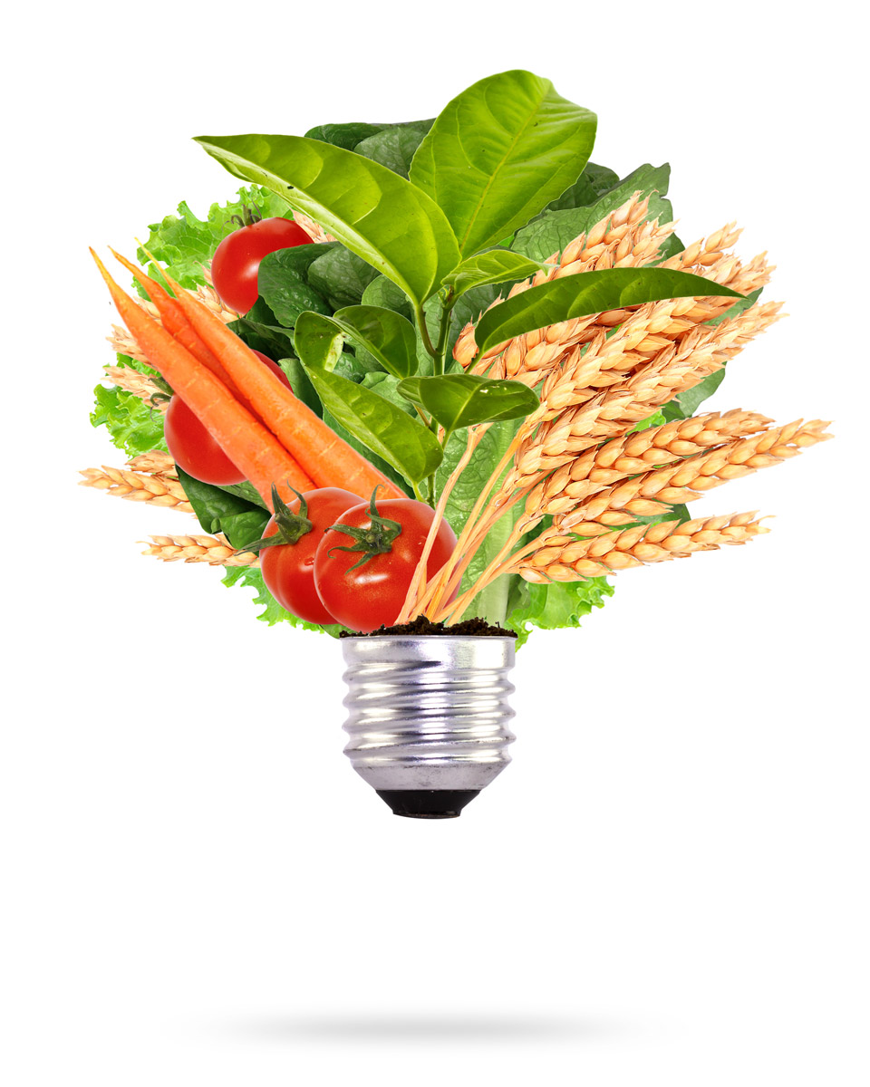 composite-bulb_web